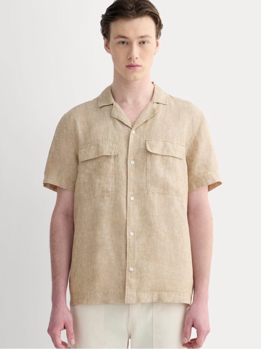 Everlane The Resort Shirt in Linen